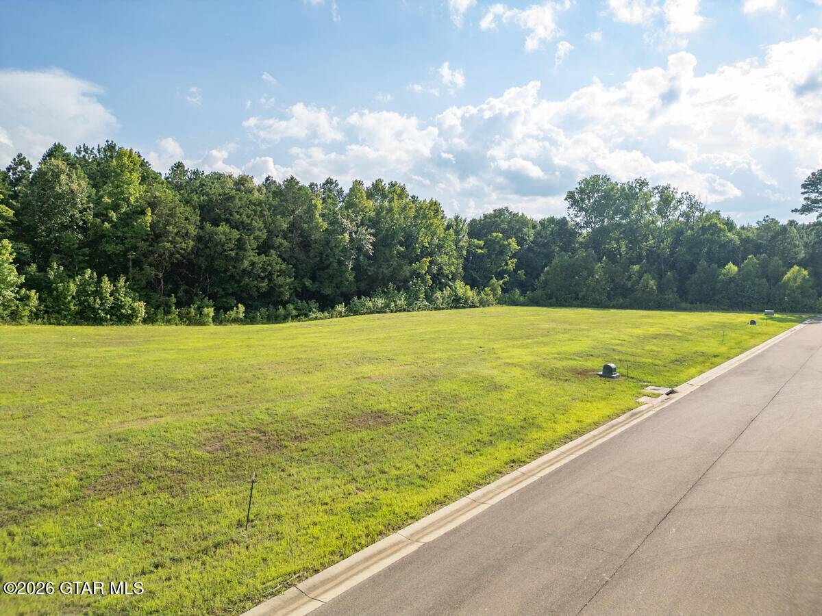 Property Photo: 169 Huxley Drive MS 39759
