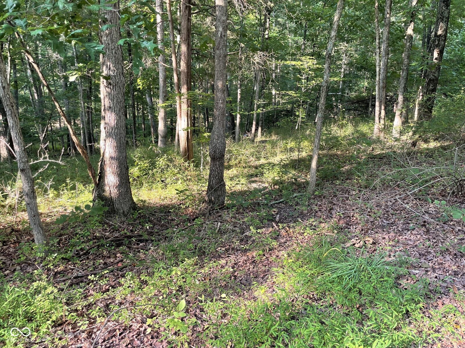Property Photo:  13525 W 700 S  IN 47201 