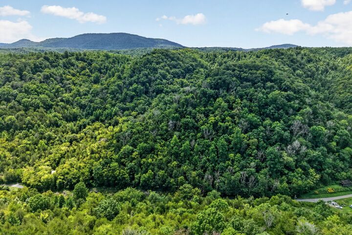 Property Photo:  0 Turkey Branch Rd  TN 37095 