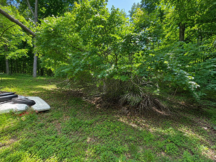 Property Photo:  48722 428th Street  MN 56573 