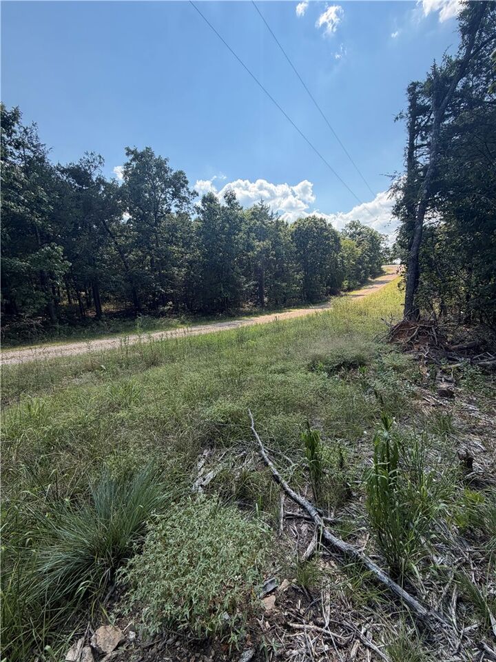 Property Photo:  Tbd Larchwood Drive  AR 72644 