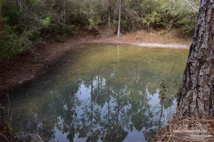 Property Photo:  0003 Pat Brown Rd  FL 32570 