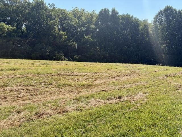 Property Photo:  Lot 24C &Amp 24D Emerald Lane  KY 42718 