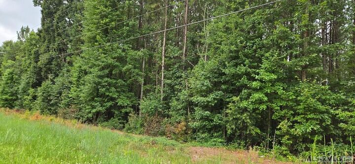 Property Photo: 0 Medoc Mountain Rd NC 27844
