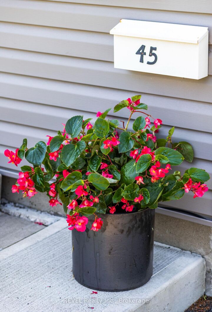 Property Photo:  45 Parker Street  ON L2S 1C7 