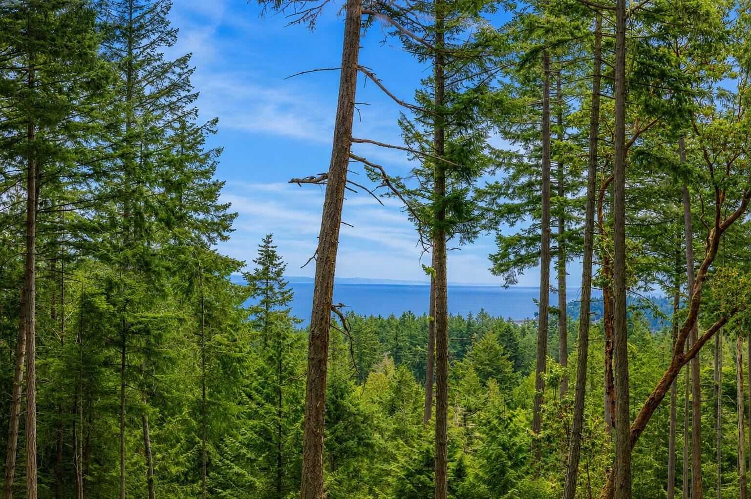 Property Photo: 2-861 Bluff Road BC V0N 1P0