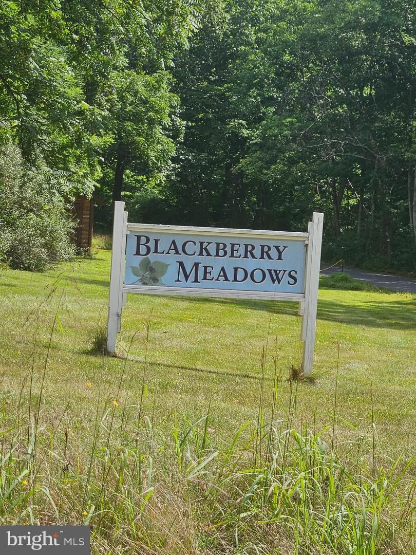 Property Photo:  Lot 2 Blackberry Meadows No Physical Address  WV 25434 