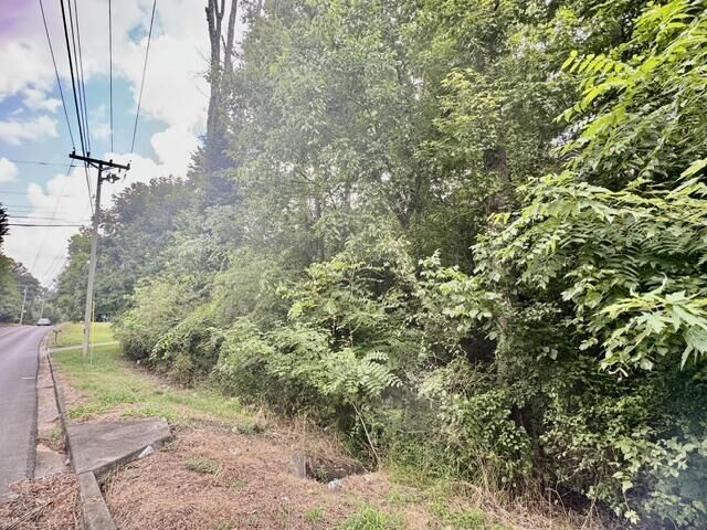 Property Photo:  0 Old Chattanooga Road  GA 30740 