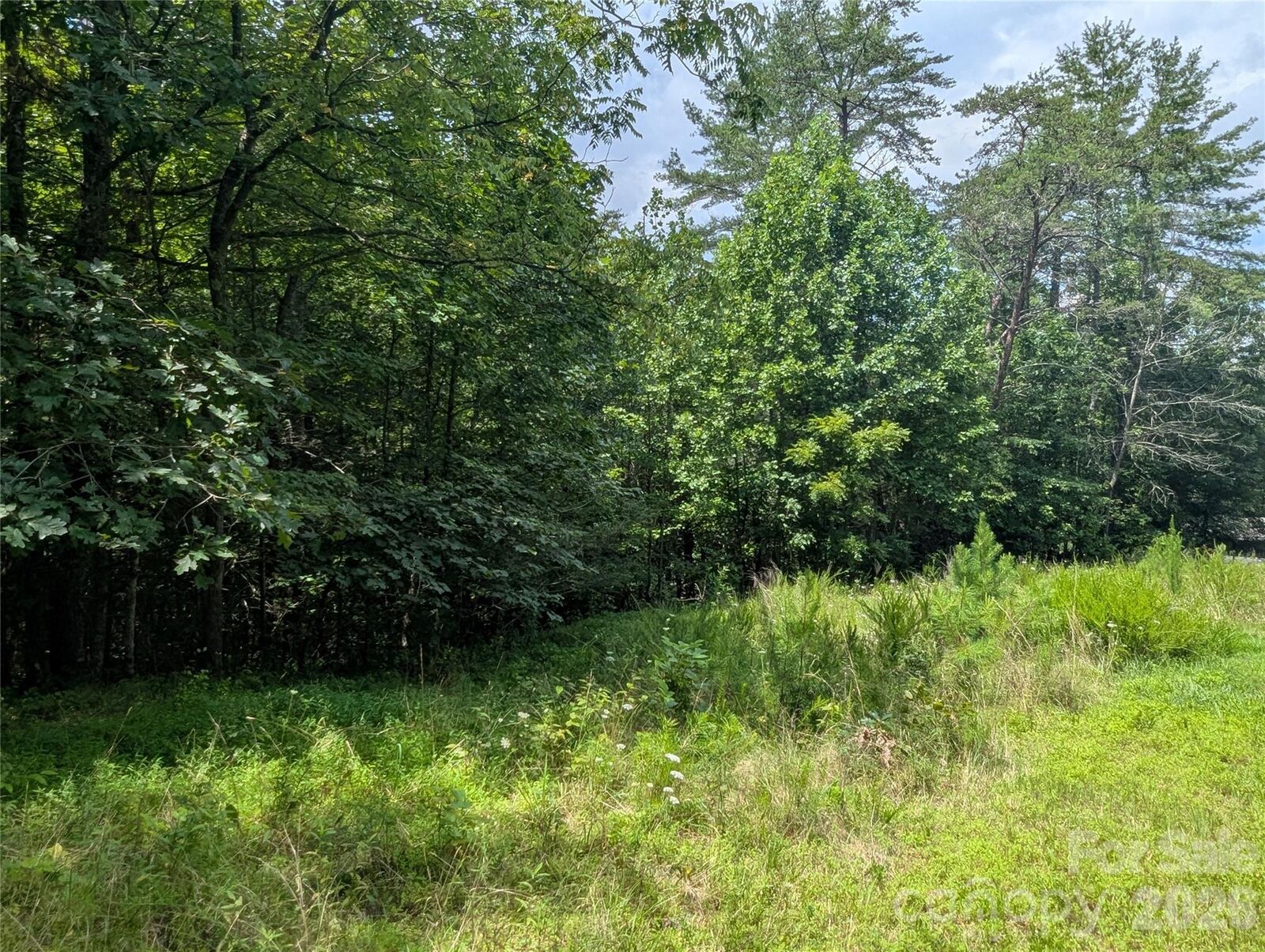 Property Photo:  0 Austin Drive 13  NC 28753 