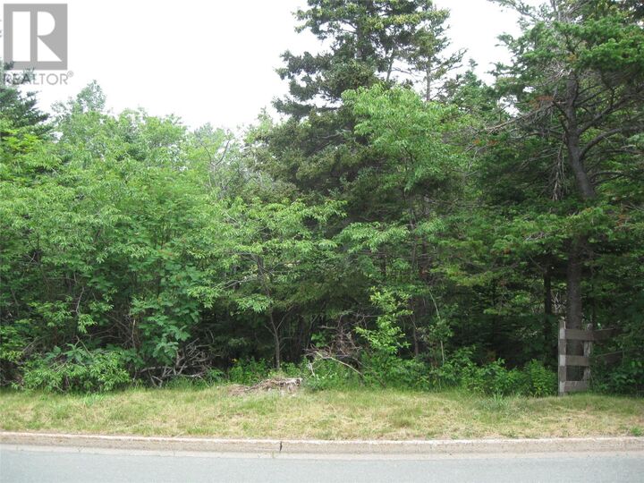Property Photo: 53 A Lawrence Pond Road East NL A1X 4C6