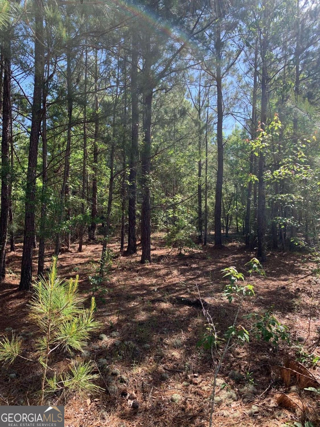 Property Photo: 0 Pollett Road Lot 29 GA 30413
