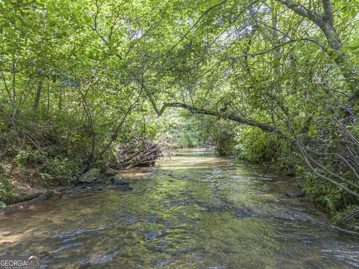 Property Photo:  245 Sunrise Valley Road  GA 30513 