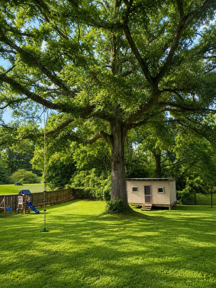 Property Photo:  118 Springdale Drive  GA 31822 