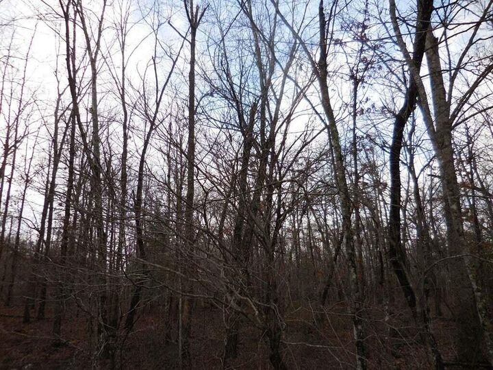 Property Photo:  1143 Natchez  TN 38572 