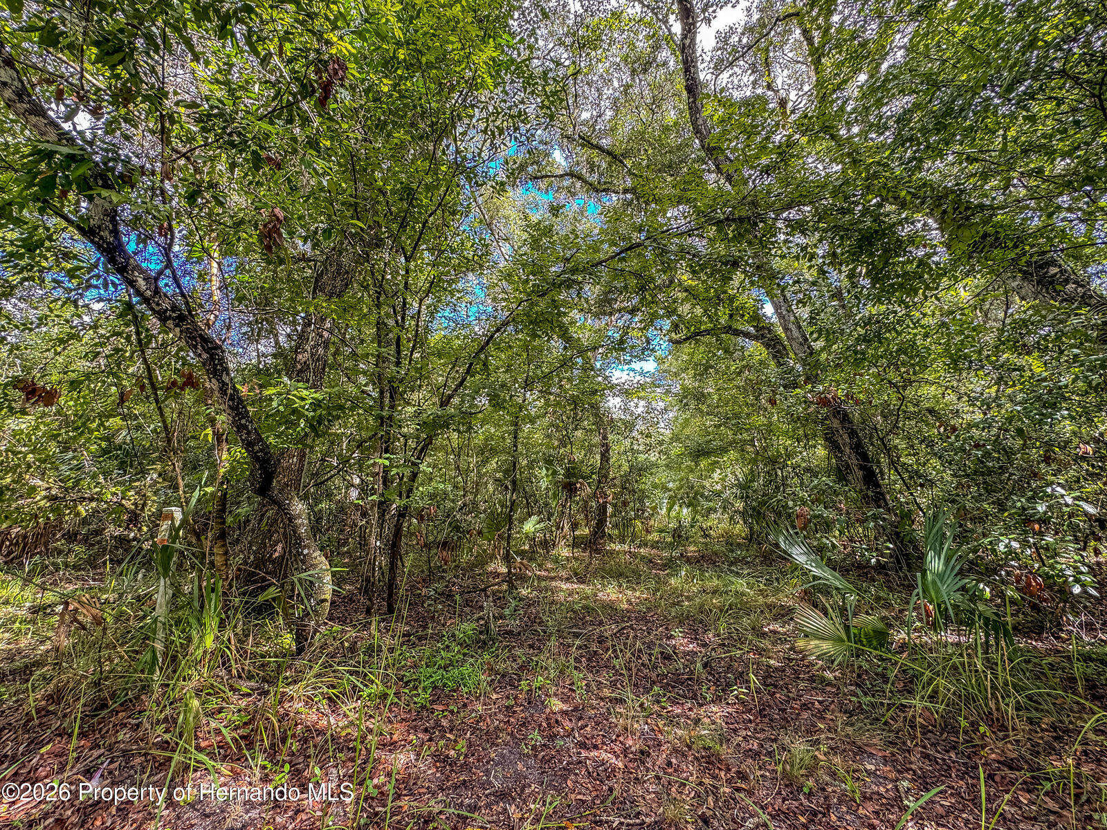 Property Photo: 0 Old Hunter Road FL 34601