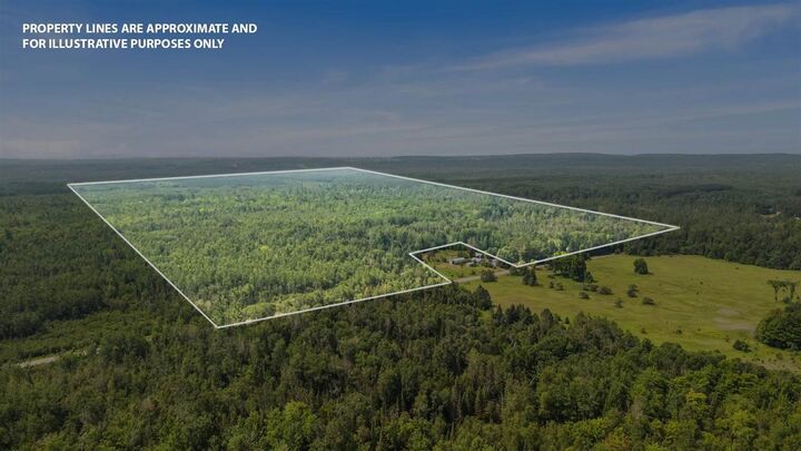 Property Photo: 5436 E Gill Rd MI 49718