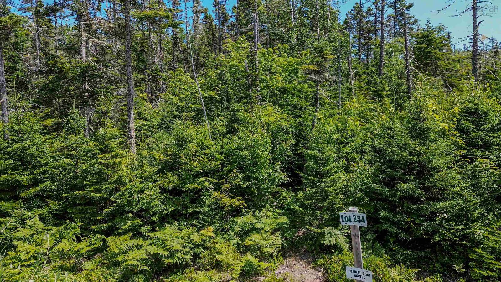 Property Photo:  30 Crown Drive  NS B3Z 4C1 