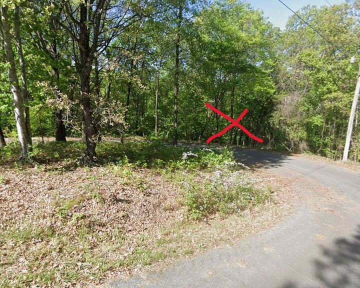 Property Photo:  Whalley Lane  AR 72715 