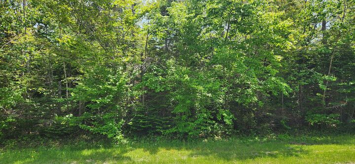 Acreage Greys Road Road — photo 1
