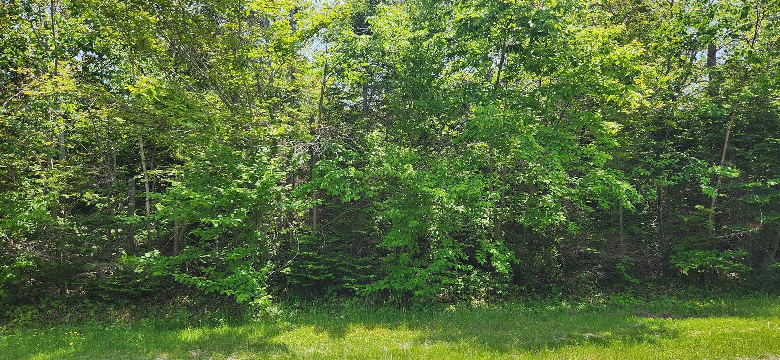 Property Photo: Acreage Greys Road Road PE C0A 1R0