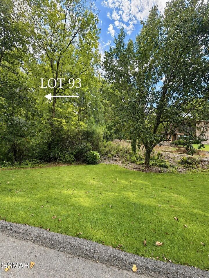 Property Photo: Lot 93 Rockhaven Road TN 37920