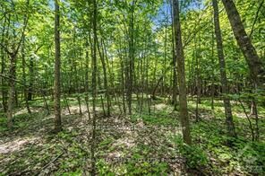 Property Photo:  6 Rock Forest Road  ON K0A 1T0 