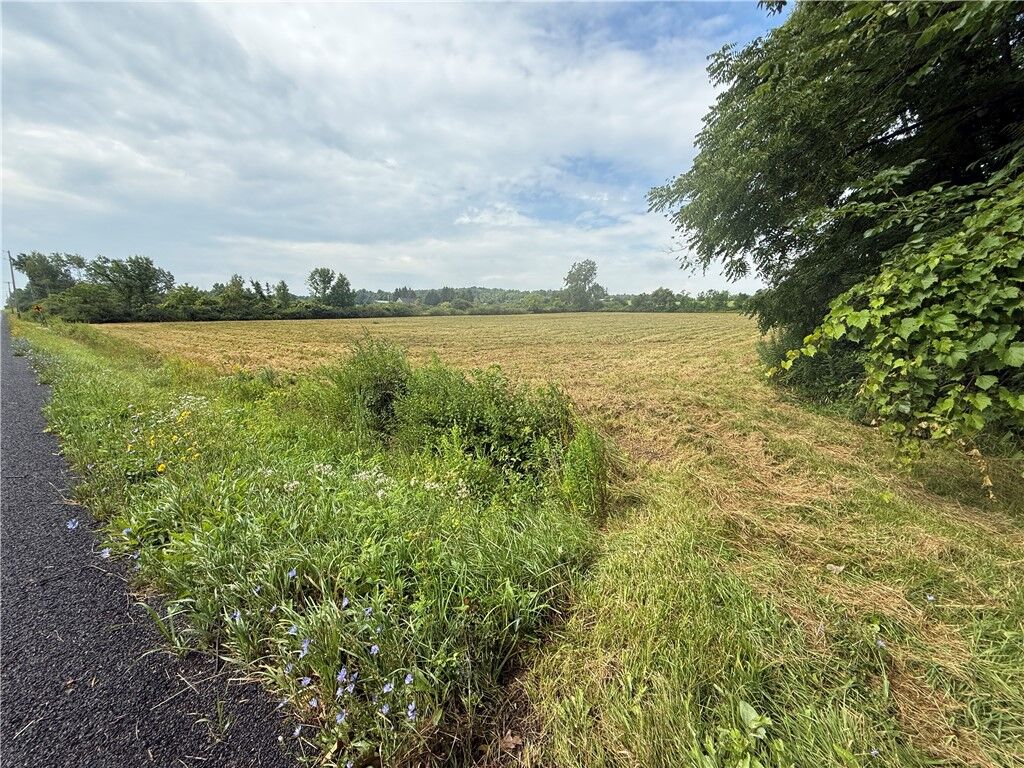 Property Photo:  Halseyville Road  NY 14886 