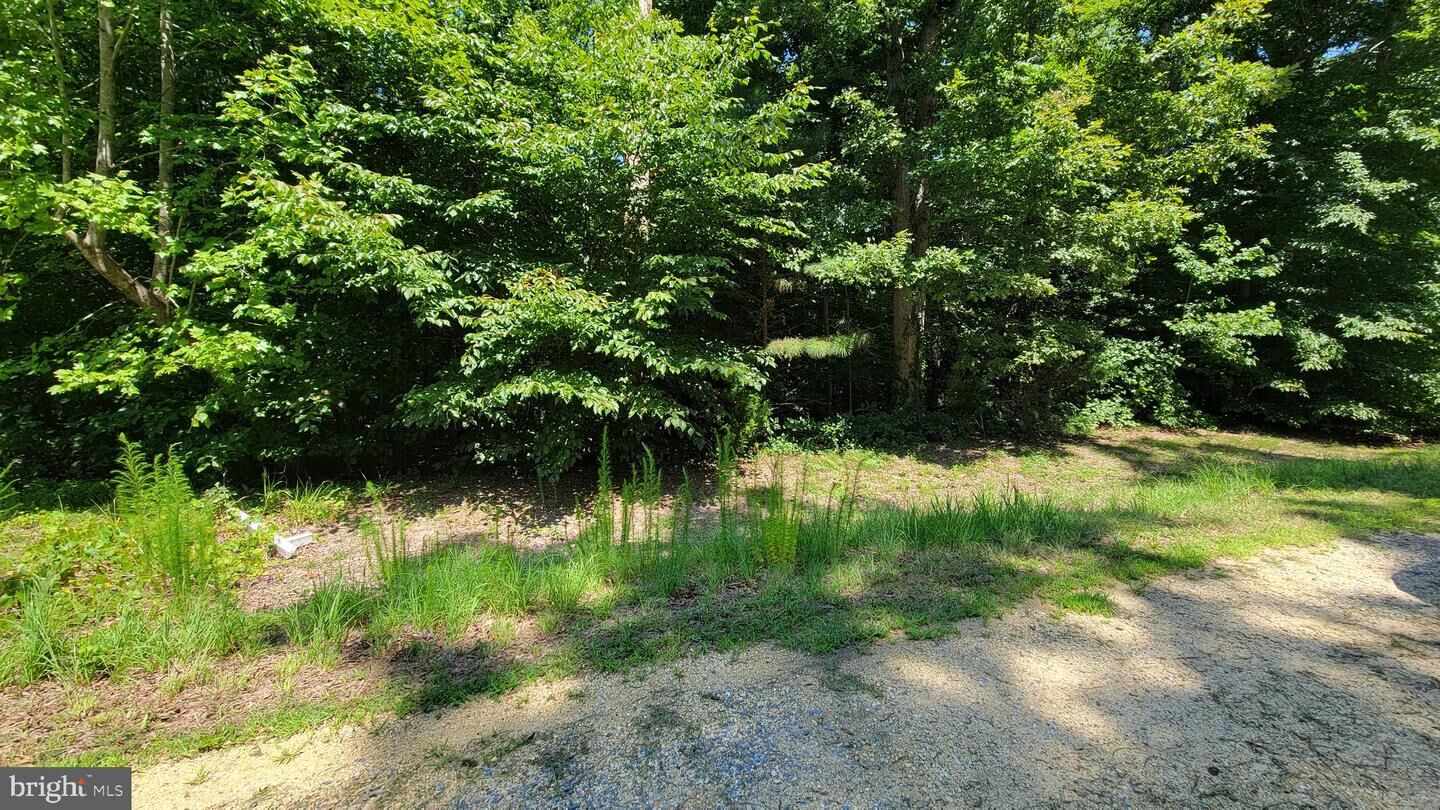 Property Photo: 42262 Broyhill Lane MD 20636