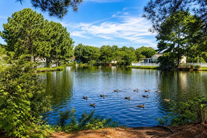 Property Photo:  509 Crusade Circle  SC 29526 