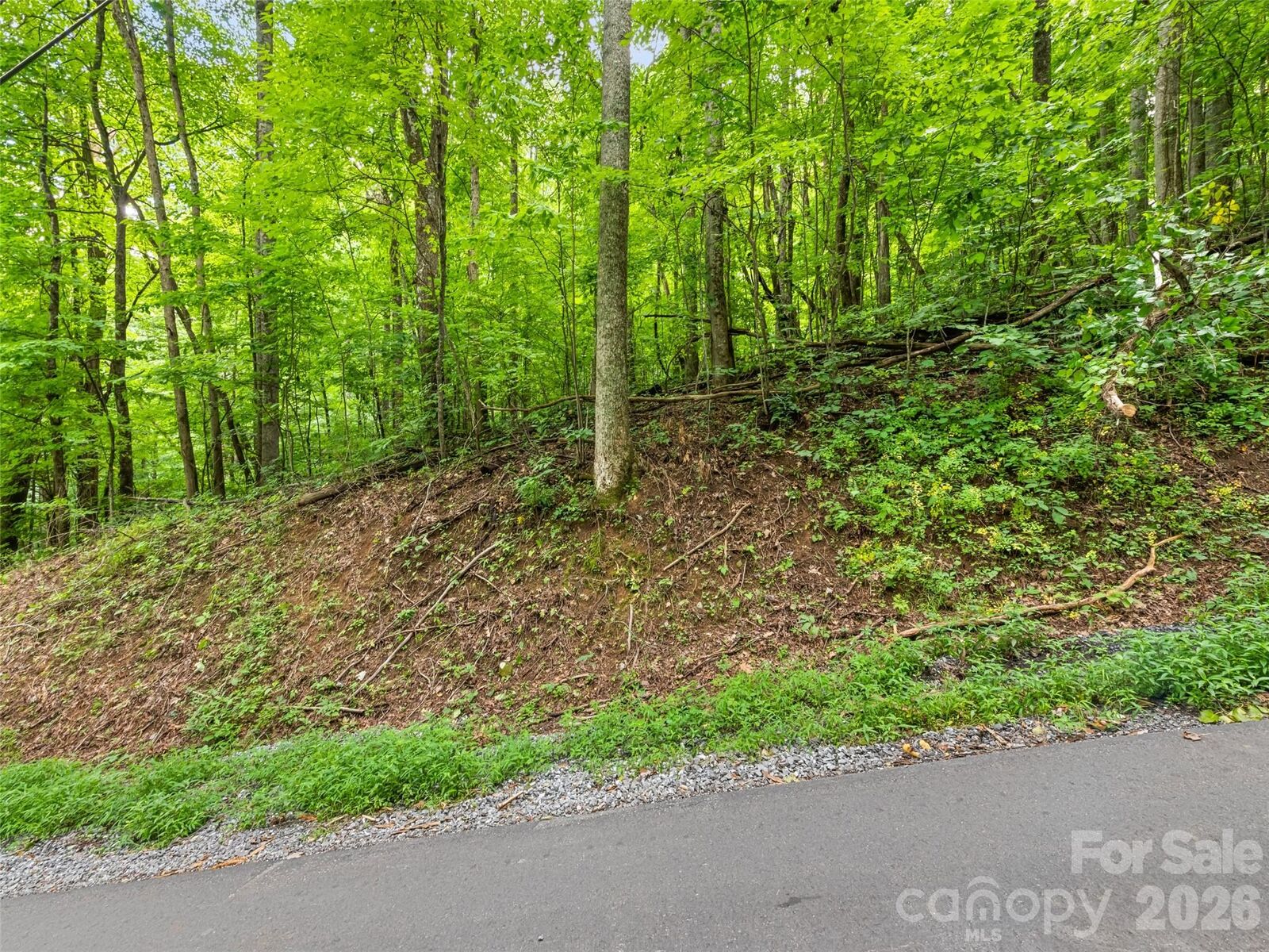 Property Photo: 00 Dogwood Trail 21&Amp22 NC 28786