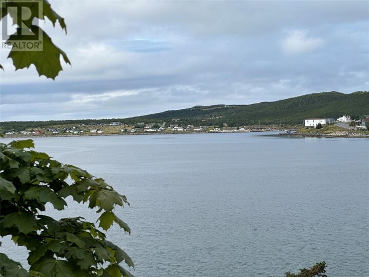 Property Photo:  80-82 Cove Road  NL A0B 1Z0 