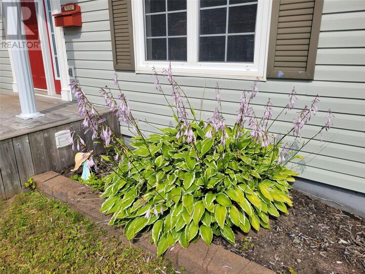 Property Photo: 4 Wilson Drive NL A2H 6W4
