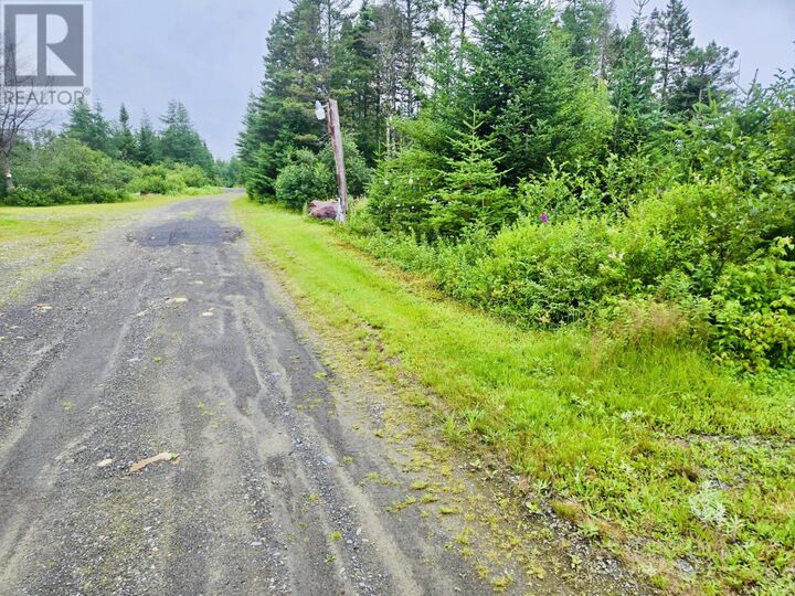 Property Photo:  7 Lot -Camp 4 Road  NL A0H 1R0 