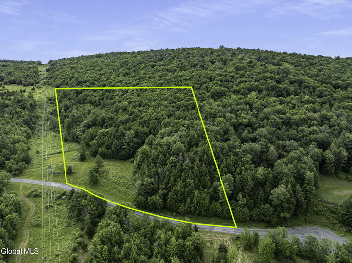Property Photo: L28.1 Deer Lane NY 12452