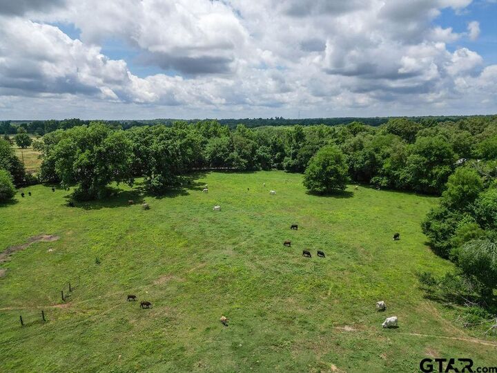 Property Photo: #4418 Fm 1000 TX 75455