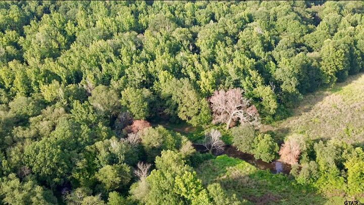 Property Photo:  Tbd Cr 3324  TX 75686 