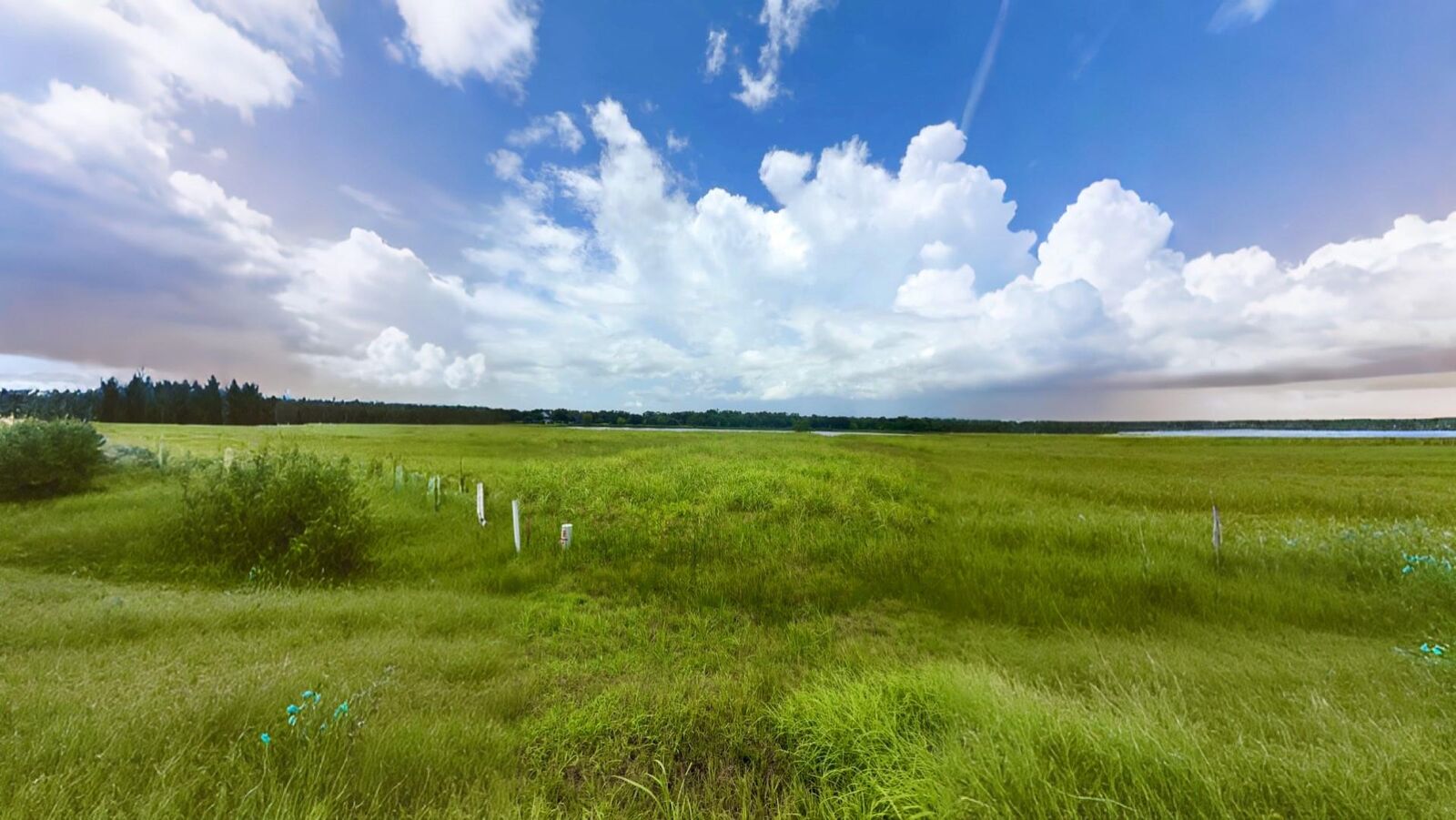 Property Photo: Conestoga Conestoga Trail TX 77515