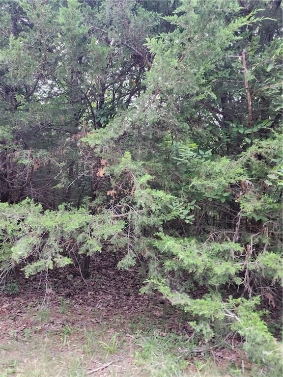 Property Photo: 5 Silver Lane KS 66040