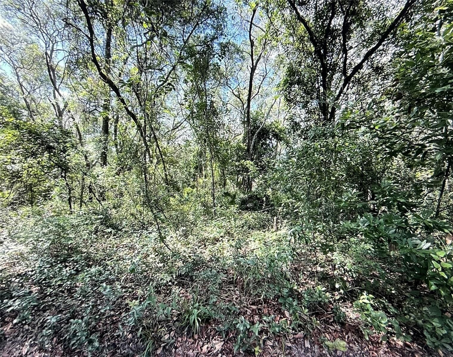Property Photo: SW 150th Street FL 34432