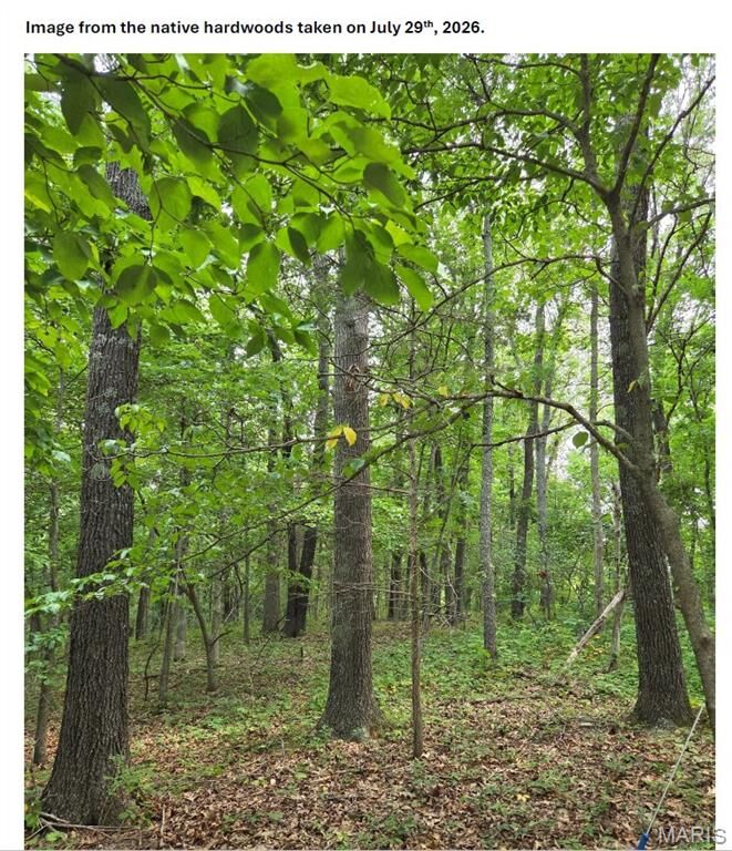 Property Photo:  Tbd Red Oak Rd  MO 65583 