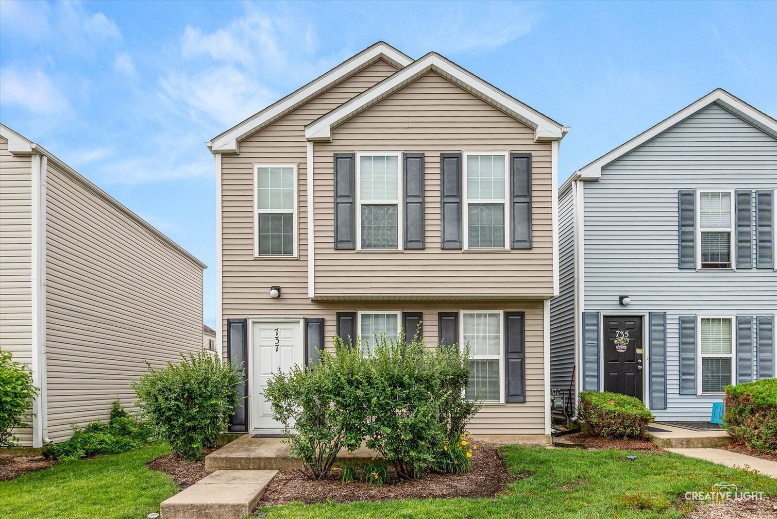 Property Photo:  737 Serendipity Drive 737  IL 60504 