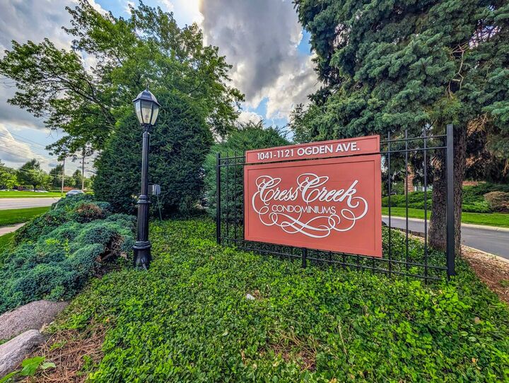 Property Photo: 1121 W Ogden Avenue 165 IL 60563