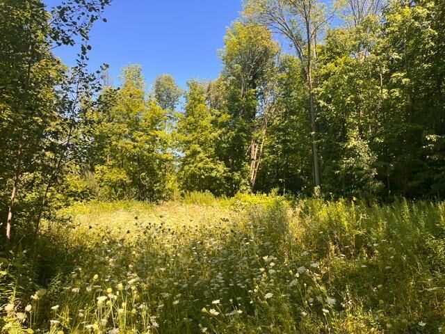 Property Photo: Lot 3 60th Avenue WI 54028