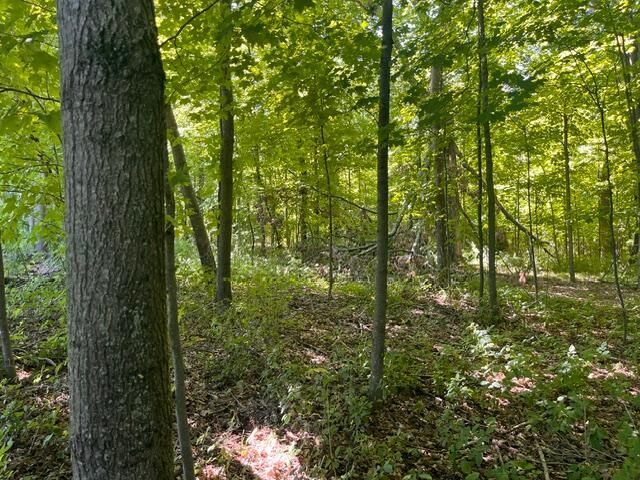 Property Photo: Lot 2 County Rd Bb WI 54028
