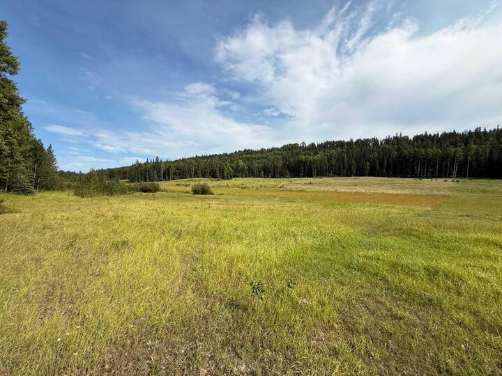 23518 Hwy 16 (Carldale) 1 — photo 1