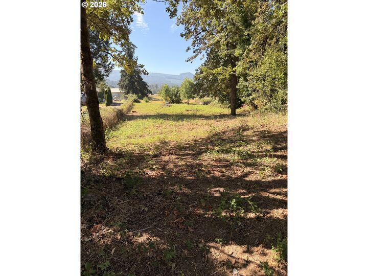 Property Photo:  McKenzie Hwy  OR 97477 