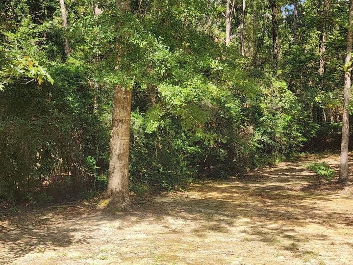 Property Photo: Tbd McGregor Road MS 39565