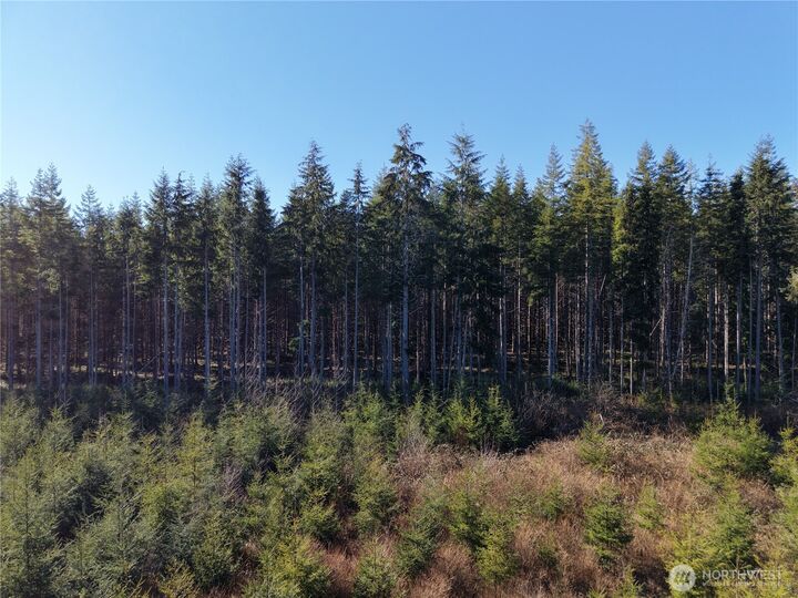 Property Photo: 0 36.75 Ac Kirkpatrick Road WA 98550