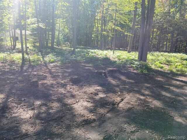 Property Photo: 0 Goldenrod Dr MI 48629