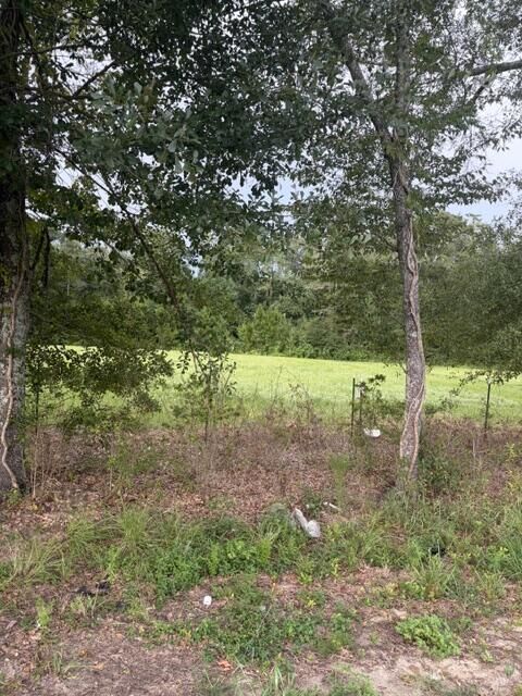 Property Photo:  0 State Highway 103 Lot 3  AL 36375 